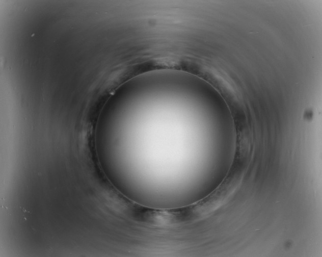 X0000102780229200808251123