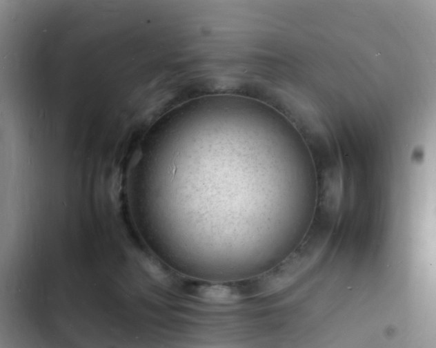 X0000102780230200808251123