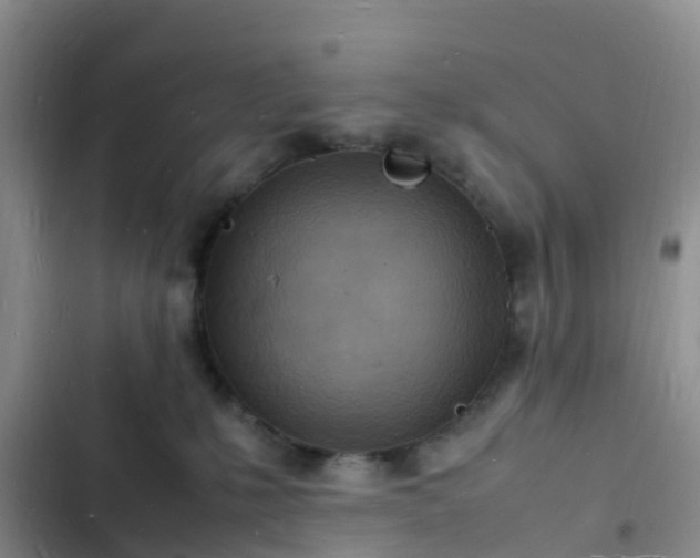 X0000102780231200808251123