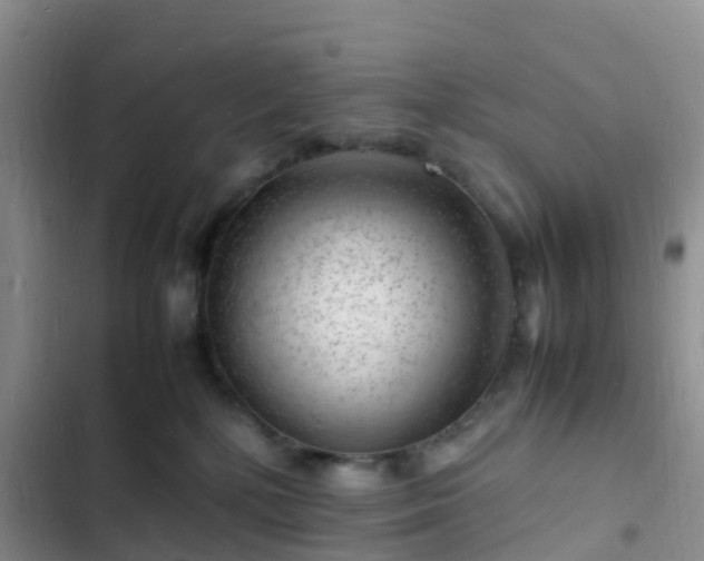 X0000102780232200808251123