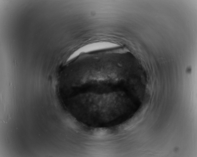 X0000102780235200808251123