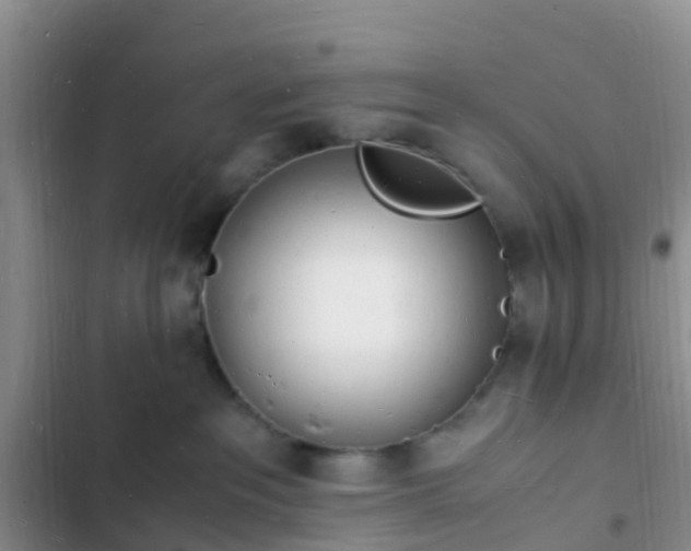 X0000102780237200808251123