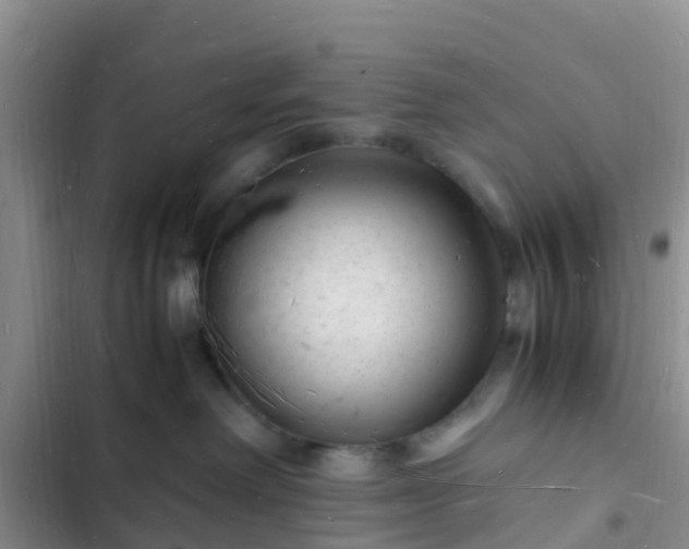 X0000102780238200808251123