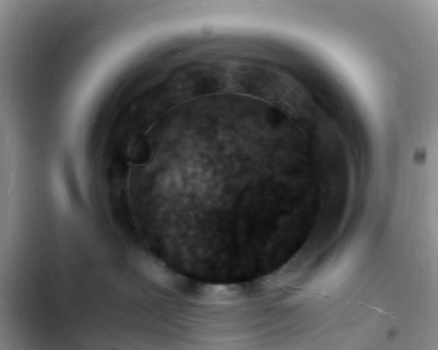 X0000102780239200808251123