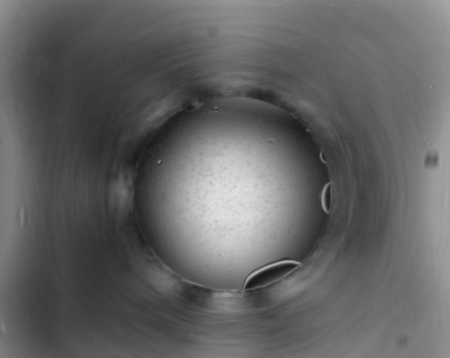 X0000102780240200808251123