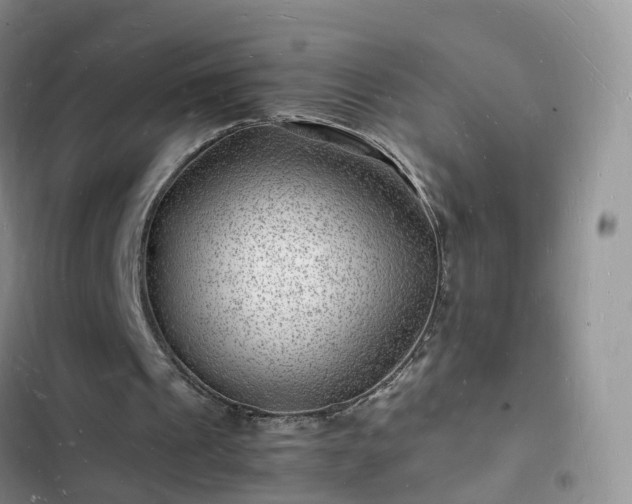 X0000102780241200808251122