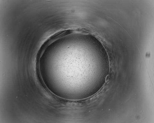 X0000102780242200808251122