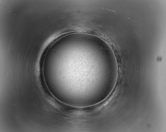 X0000102780246200808251122