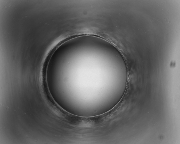 X0000102780248200808251122