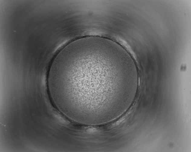 X0000102780249200808251122