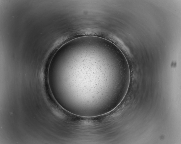 X0000102780250200808251122