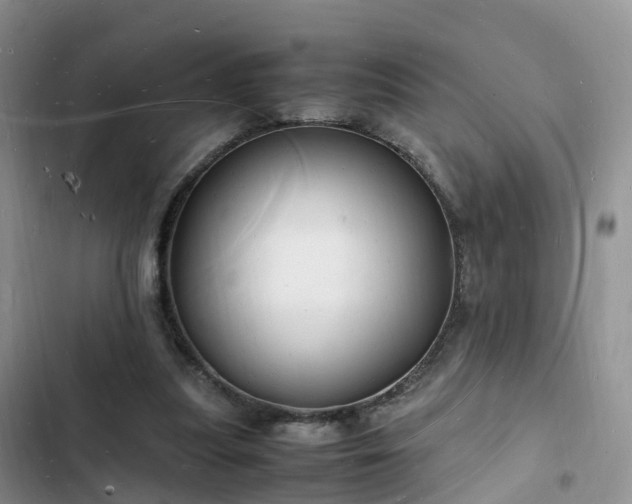 X0000102780251200808251122