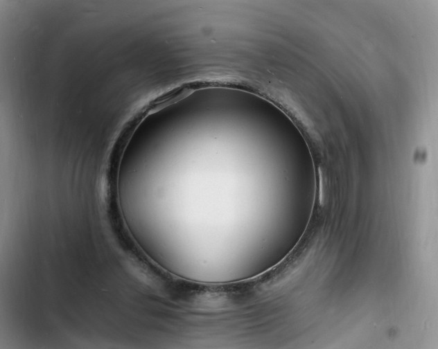 X0000102780252200808251122