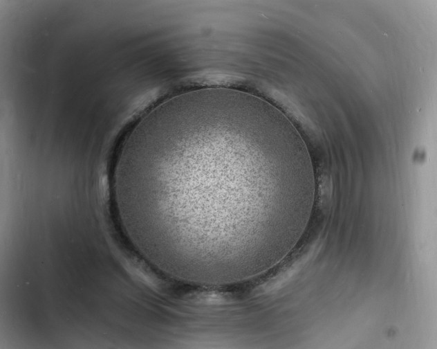 X0000102780254200808251122