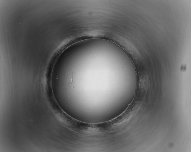 X0000102780256200808251122