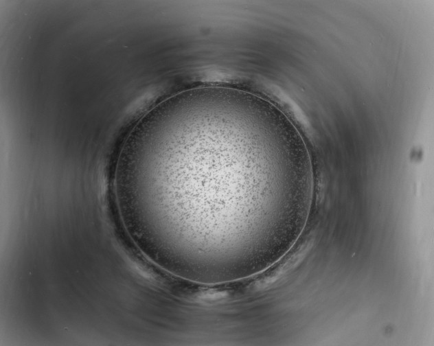 X0000102780257200808251122