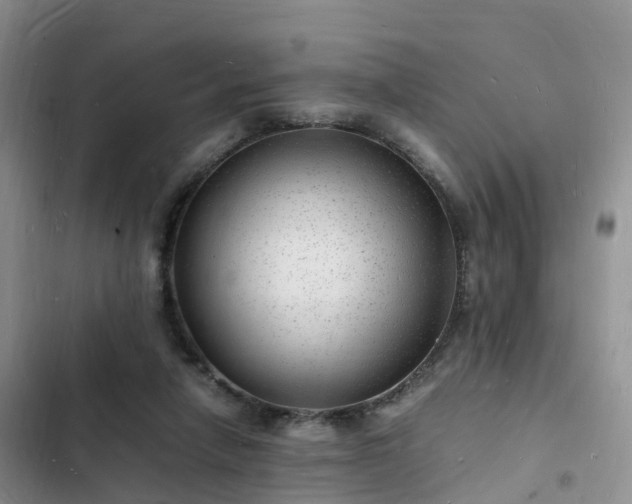 X0000102780258200808251122