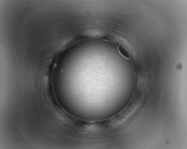 X0000102780259200808251122