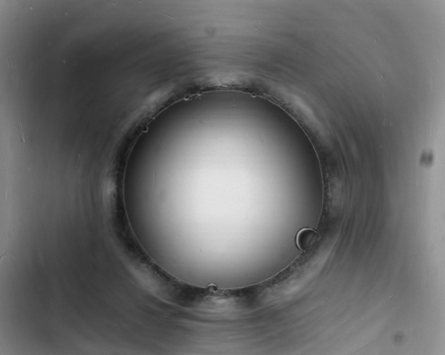 X0000102780260200808251123