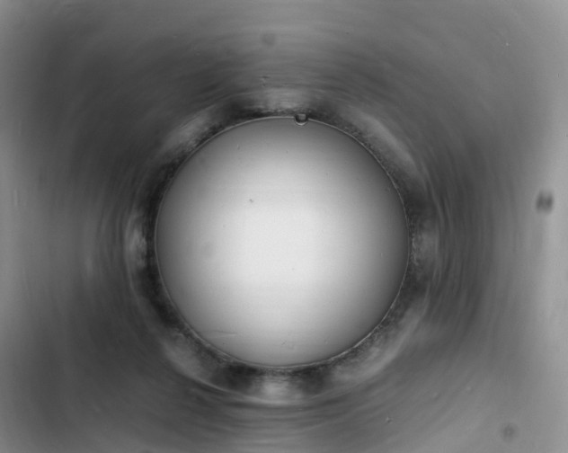 X0000102780264200808251123