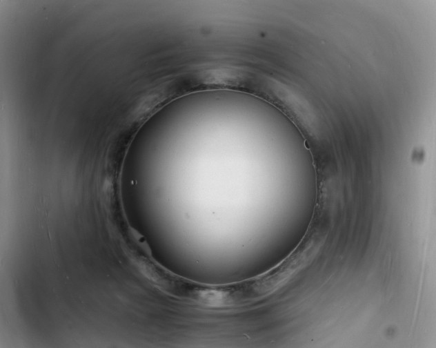 X0000102780265200808251123