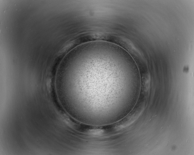 X0000102780266200808251123