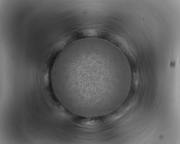 X0000102780267200808251123