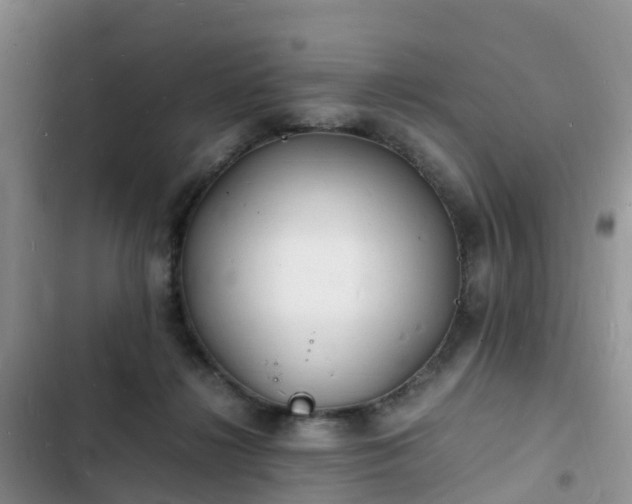 X0000102780268200808251123