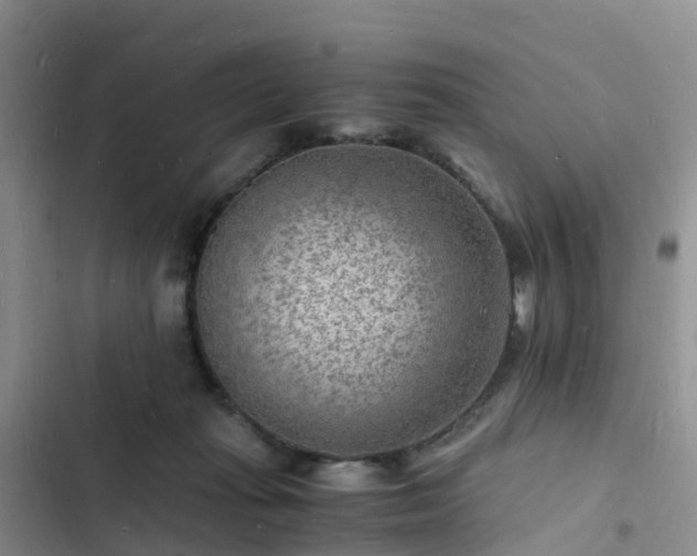 X0000102780269200808251123