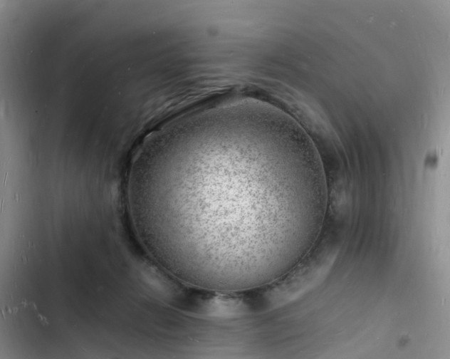 X0000102780270200808251123