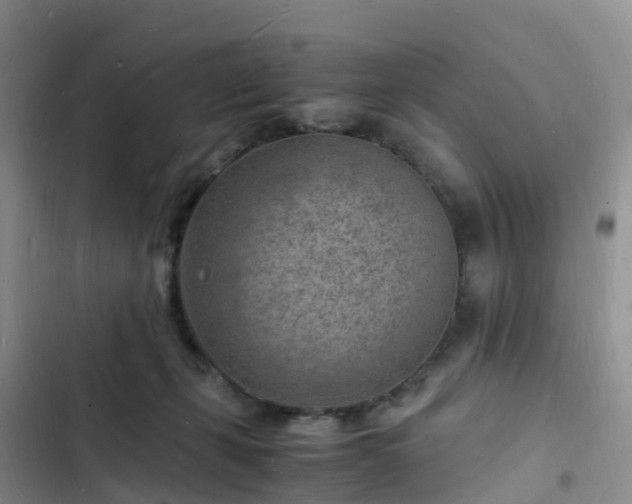 X0000102780271200808251123