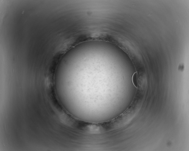 X0000102780272200808251123