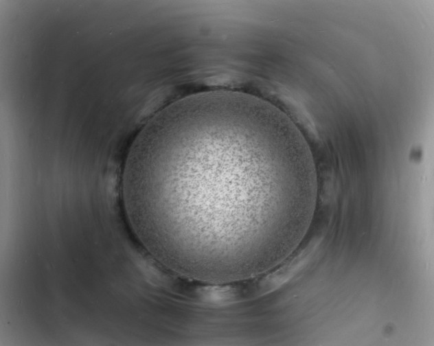 X0000102780273200808251123