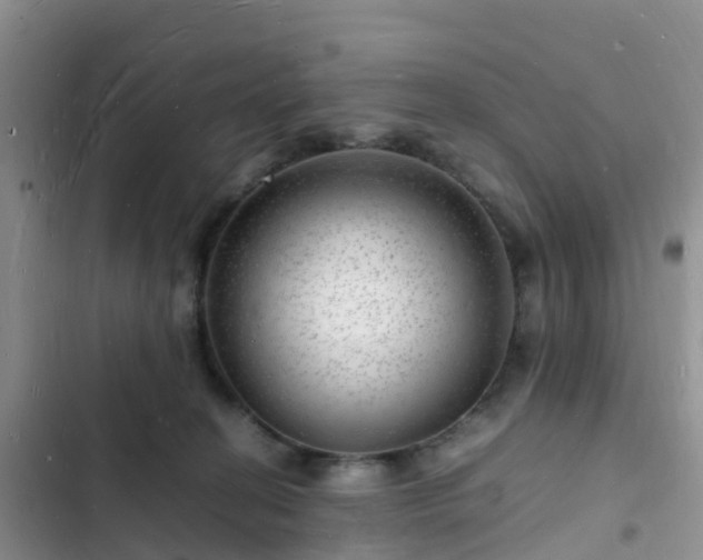 X0000102780274200808251123