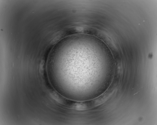 X0000102780275200808251123