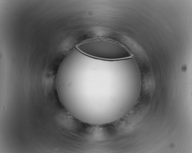 X0000102780276200808251123