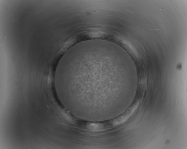 X0000102780277200808251123