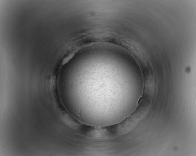 X0000102780278200808251123