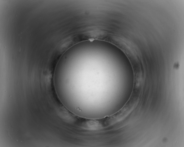 X0000102780279200808251123