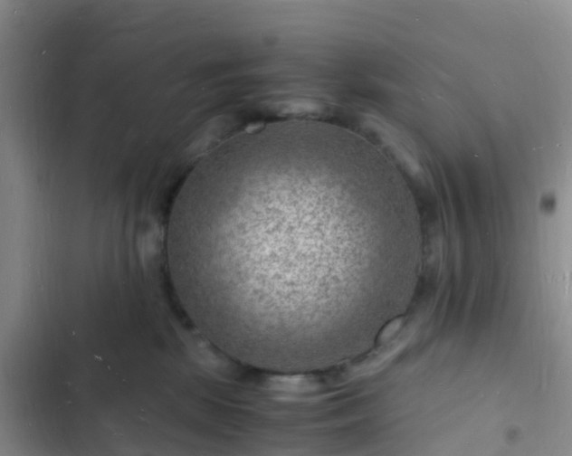 X0000102780281200808251123