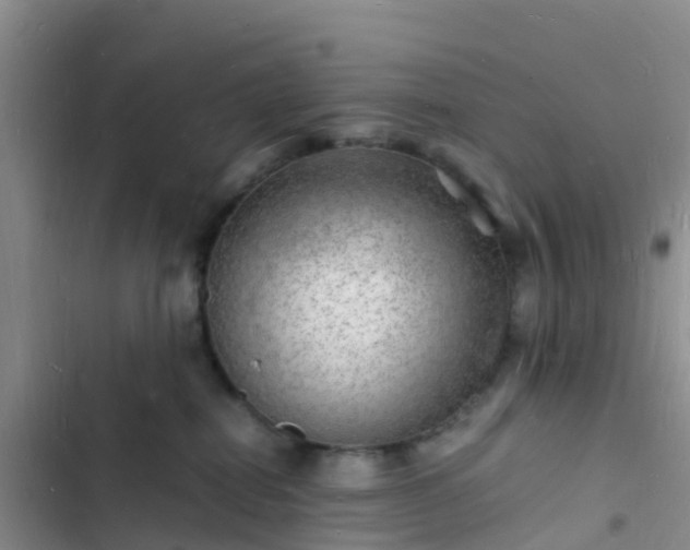 X0000102780282200808251123