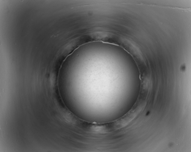 X0000102780283200808251123