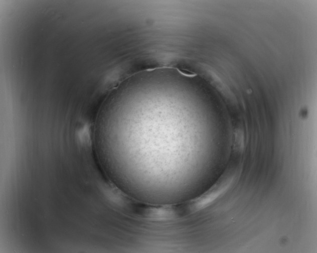 X0000102780286200808251123