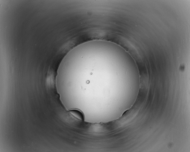 X0000102780287200808251123