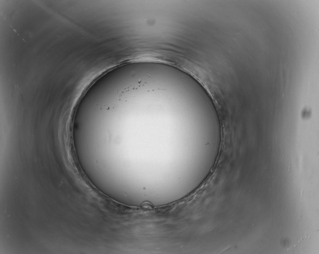 X0000102780289200808251122