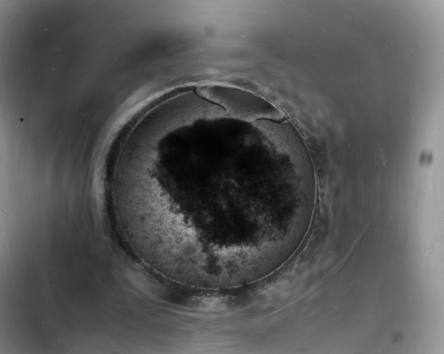 X0000102780295200808251122