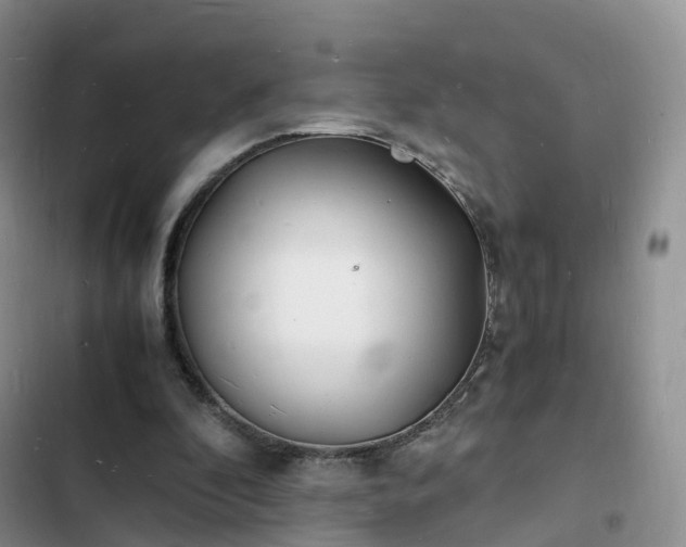 X0000102780296200808251122