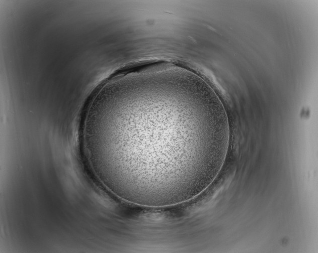 X0000102780299200808251122