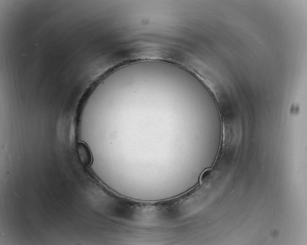 X0000102780301200808251122