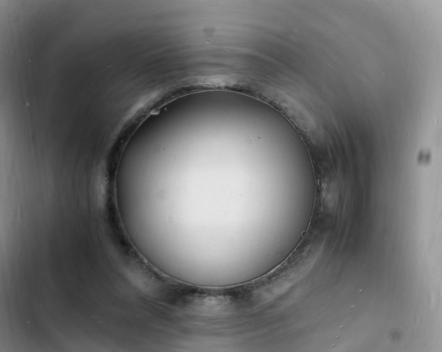 X0000102780304200808251122